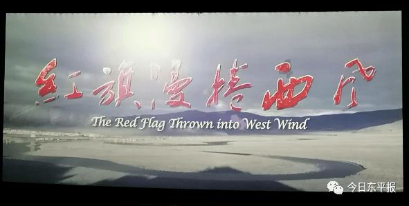 针织裙